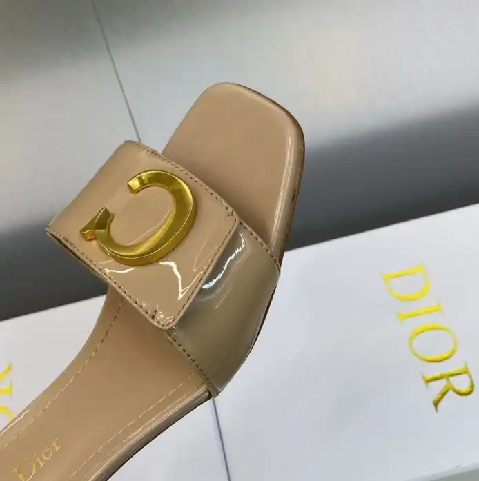 hype Christian Dior Slippers