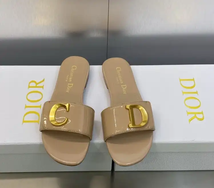 hype Christian Dior Slippers