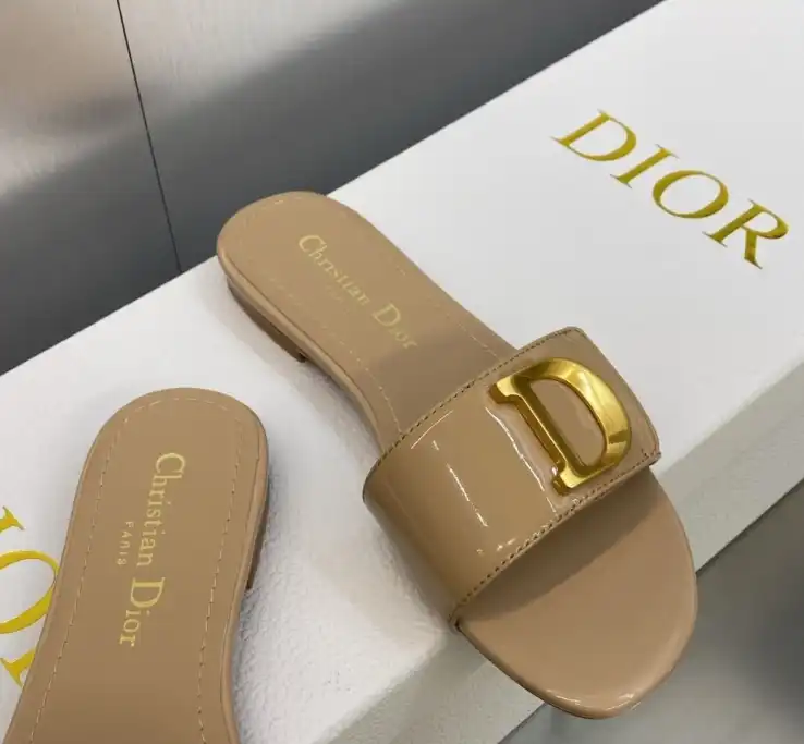 hype Christian Dior Slippers