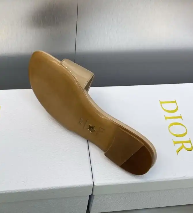 hype Christian Dior Slippers