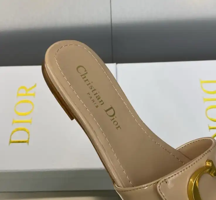 hype Christian Dior Slippers