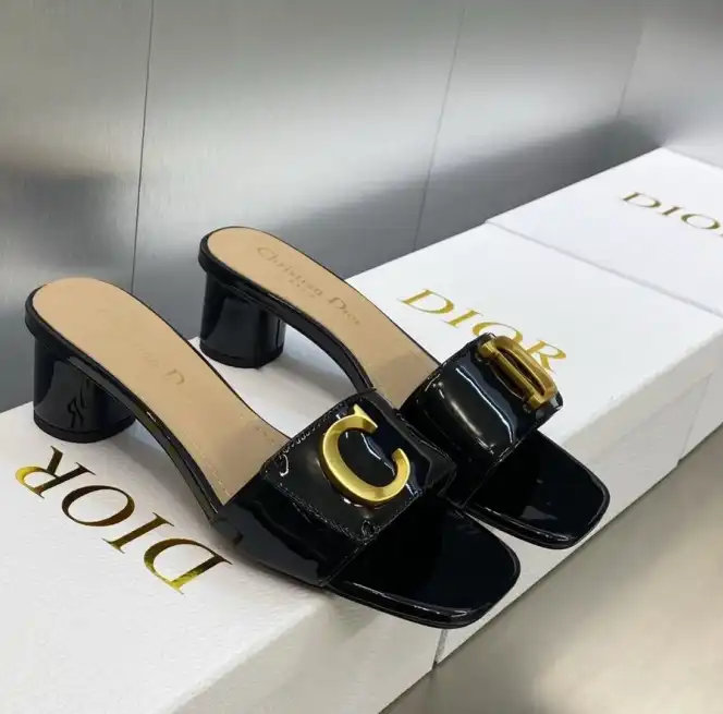 hype Christian Dior Slippers