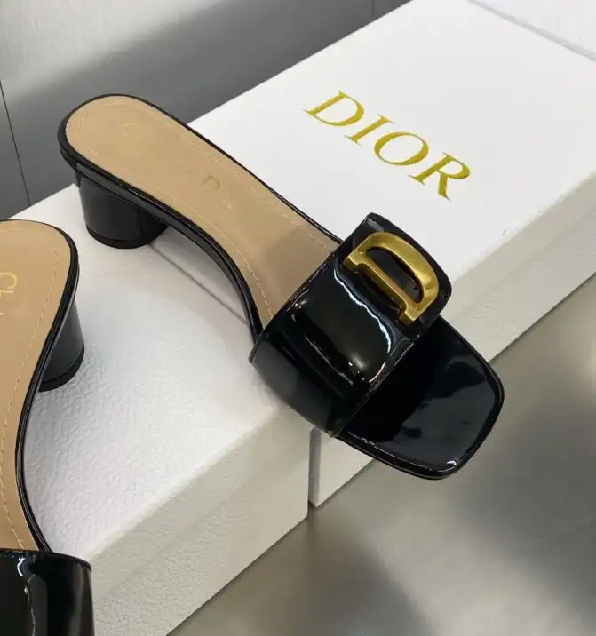 hype Christian Dior Slippers