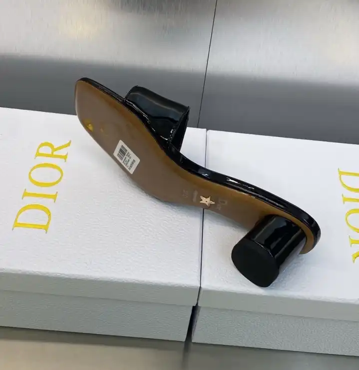 hype Christian Dior Slippers