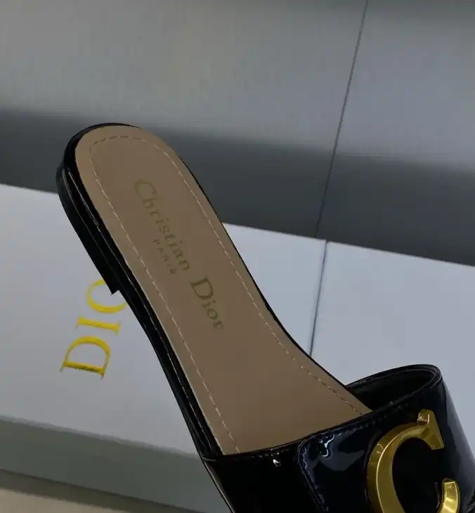 hype Christian Dior Slippers