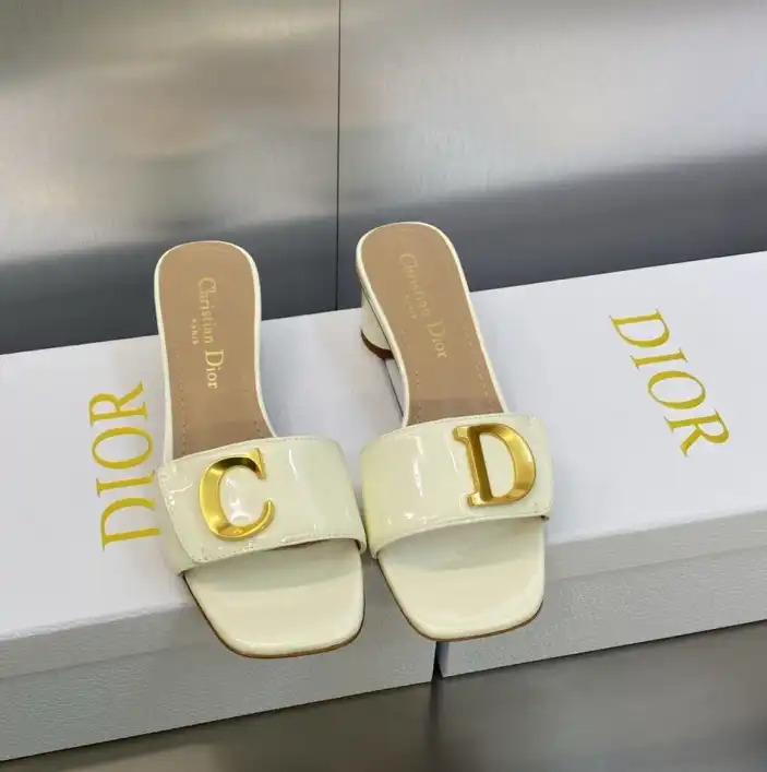 hype Christian Dior Slippers