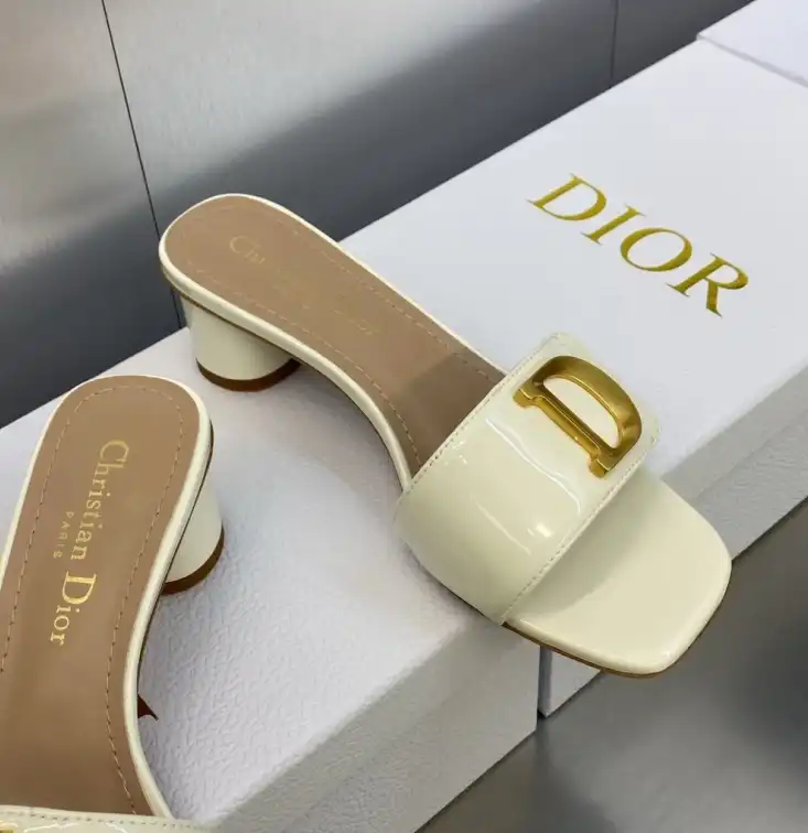 hype Christian Dior Slippers