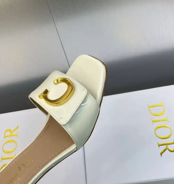 hype Christian Dior Slippers