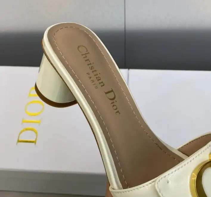 hype Christian Dior Slippers