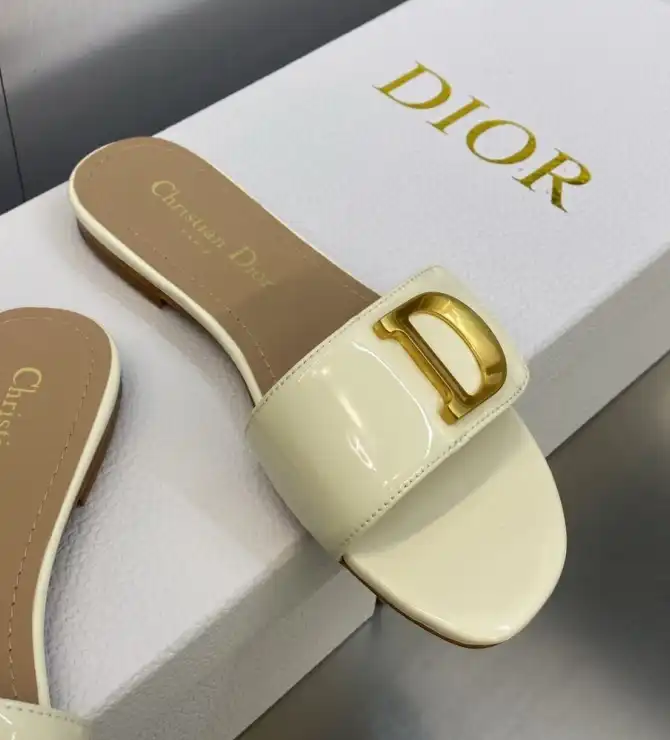 hype Christian Dior Slippers