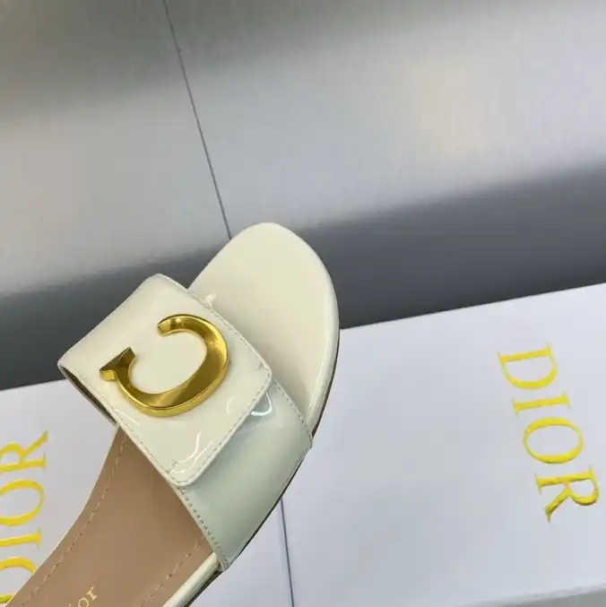 hype Christian Dior Slippers