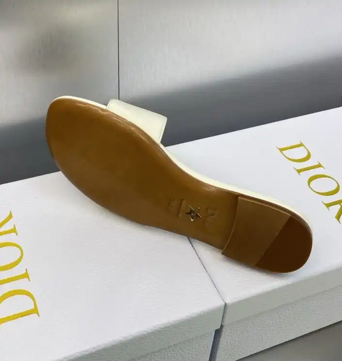 hype Christian Dior Slippers