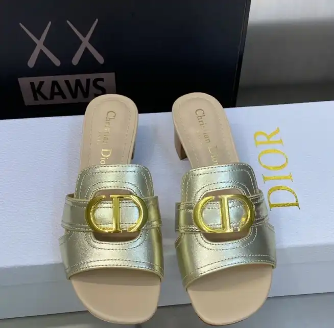 hype Christian Dior Slippers