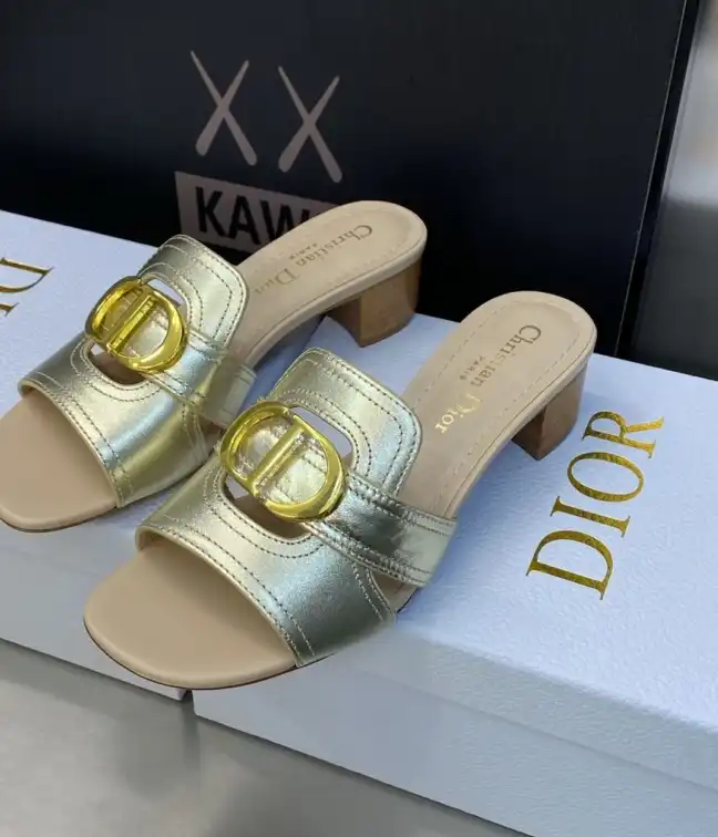 hype Christian Dior Slippers