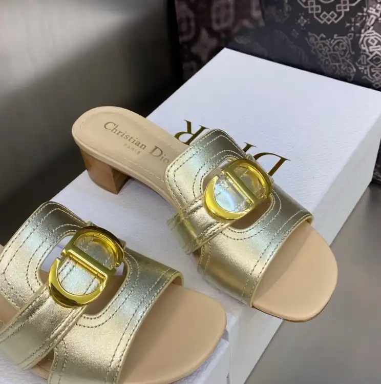 hype Christian Dior Slippers