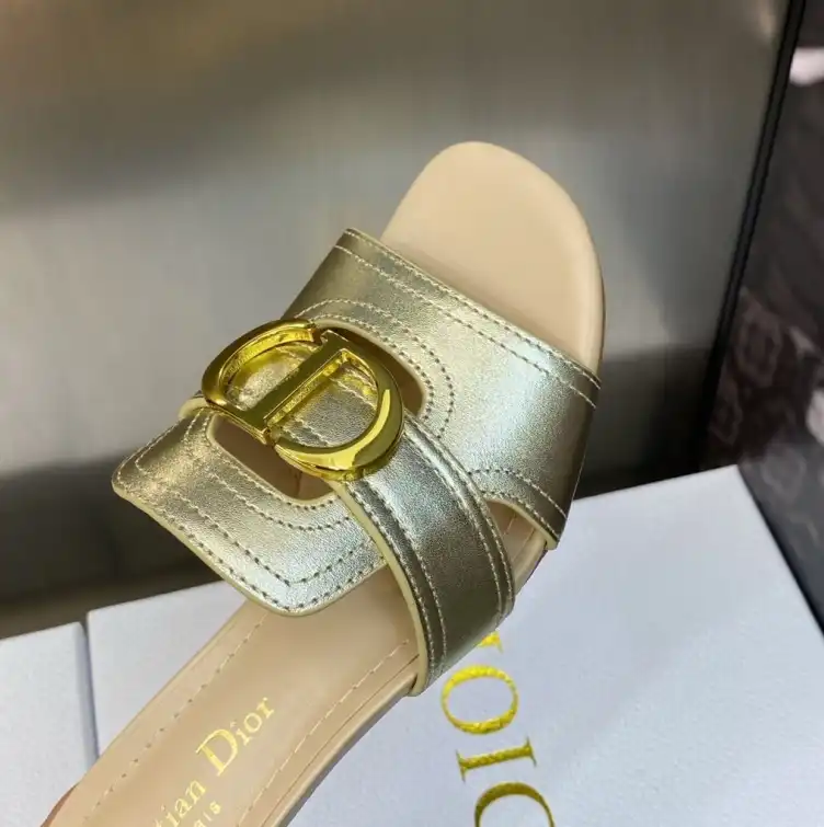 hype Christian Dior Slippers