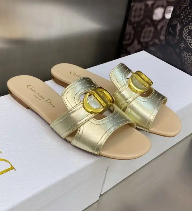 hype Christian Dior Slippers