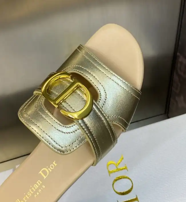 hype Christian Dior Slippers