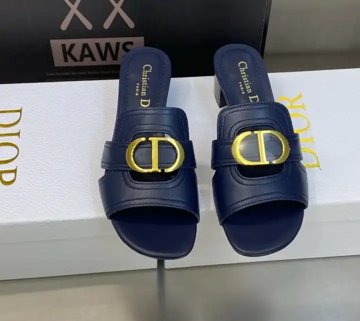 hype Christian Dior Slippers