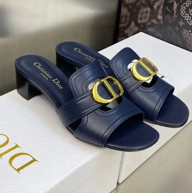 hype Christian Dior Slippers