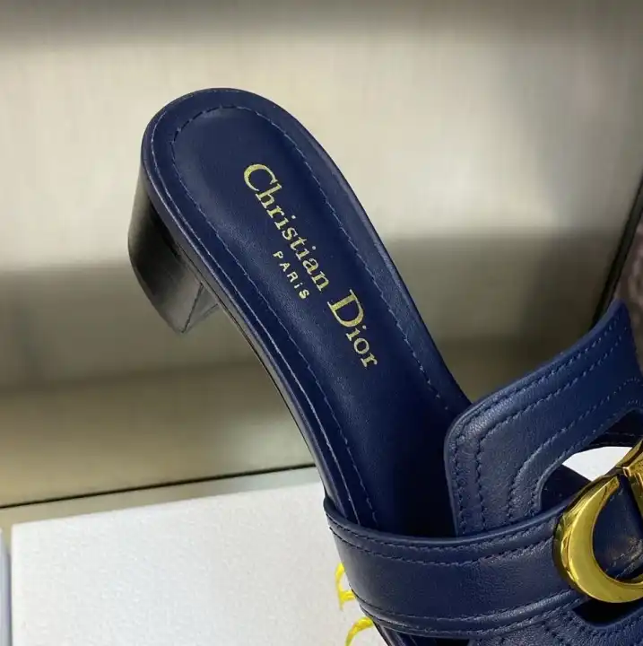 hype Christian Dior Slippers