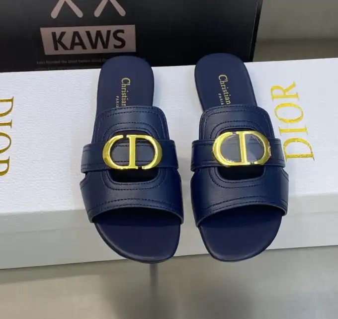 hype Christian Dior Slippers