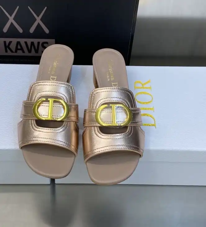 hype Christian Dior Slippers