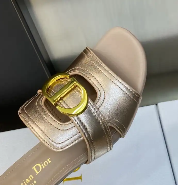 hype Christian Dior Slippers