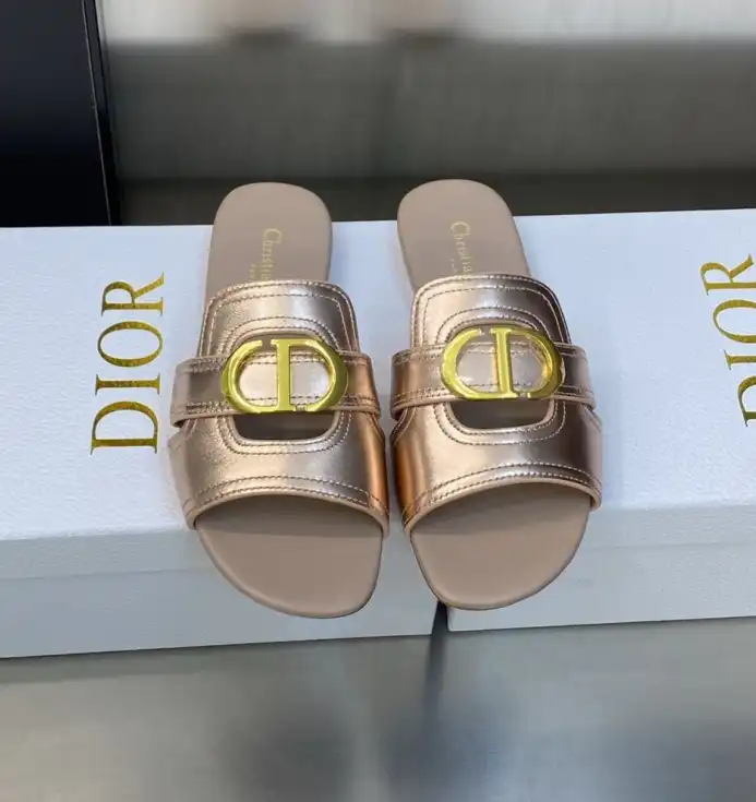 hype Christian Dior Slippers