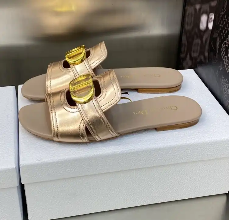 hype Christian Dior Slippers