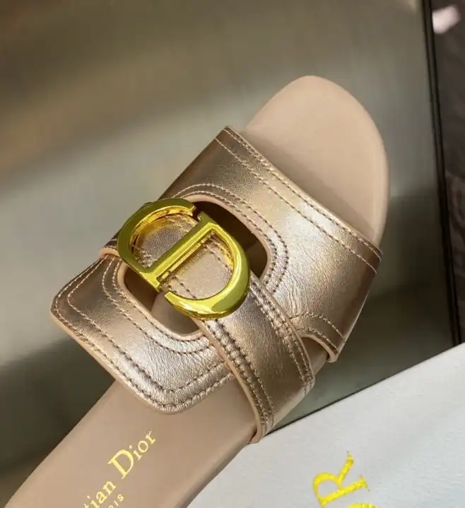 hype Christian Dior Slippers