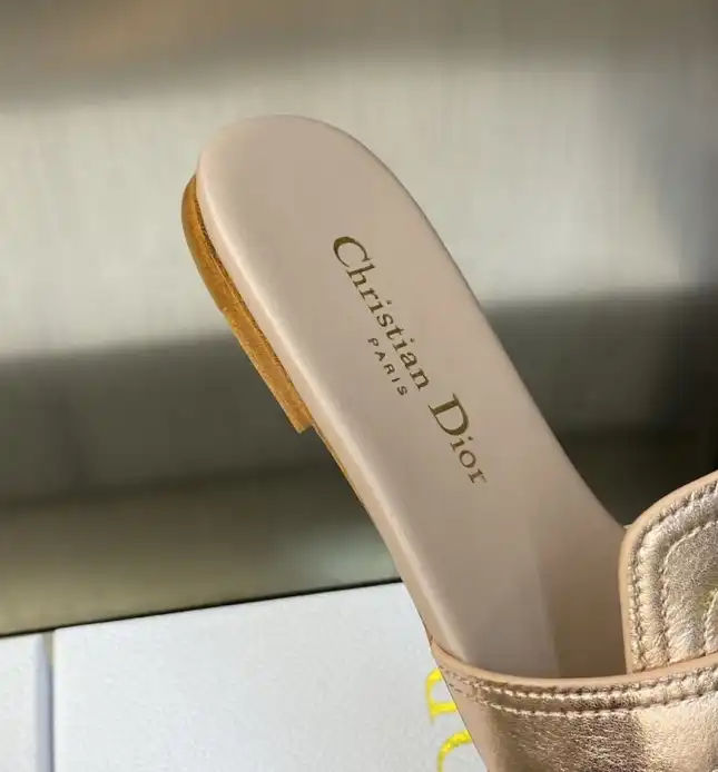 hype Christian Dior Slippers