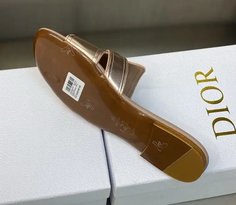 hype Christian Dior Slippers