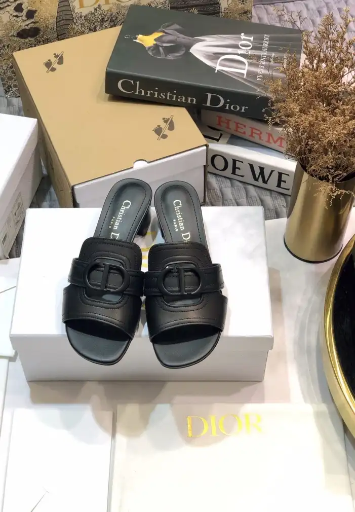 hype Christian Dior Slippers