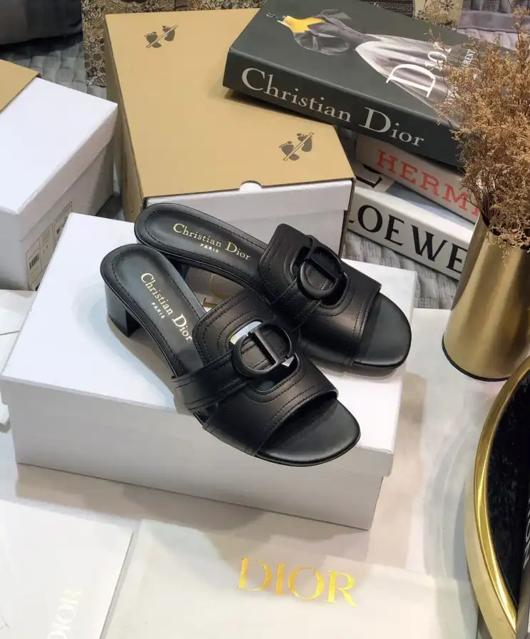 hype Christian Dior Slippers