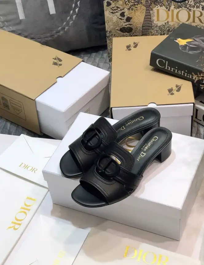 hype Christian Dior Slippers