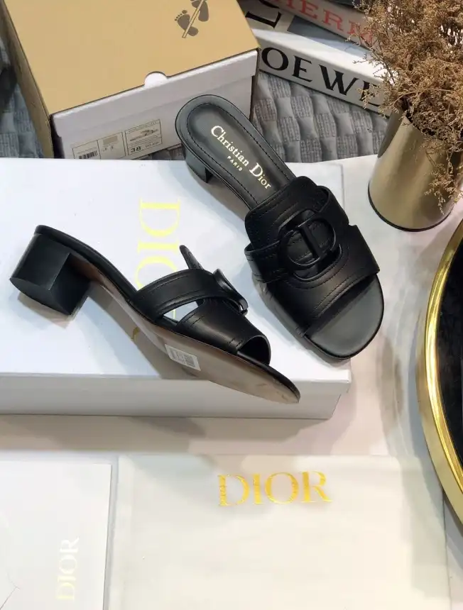 hype Christian Dior Slippers