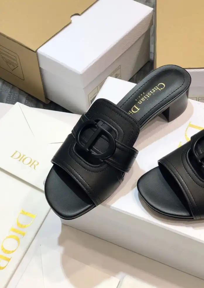 hype Christian Dior Slippers