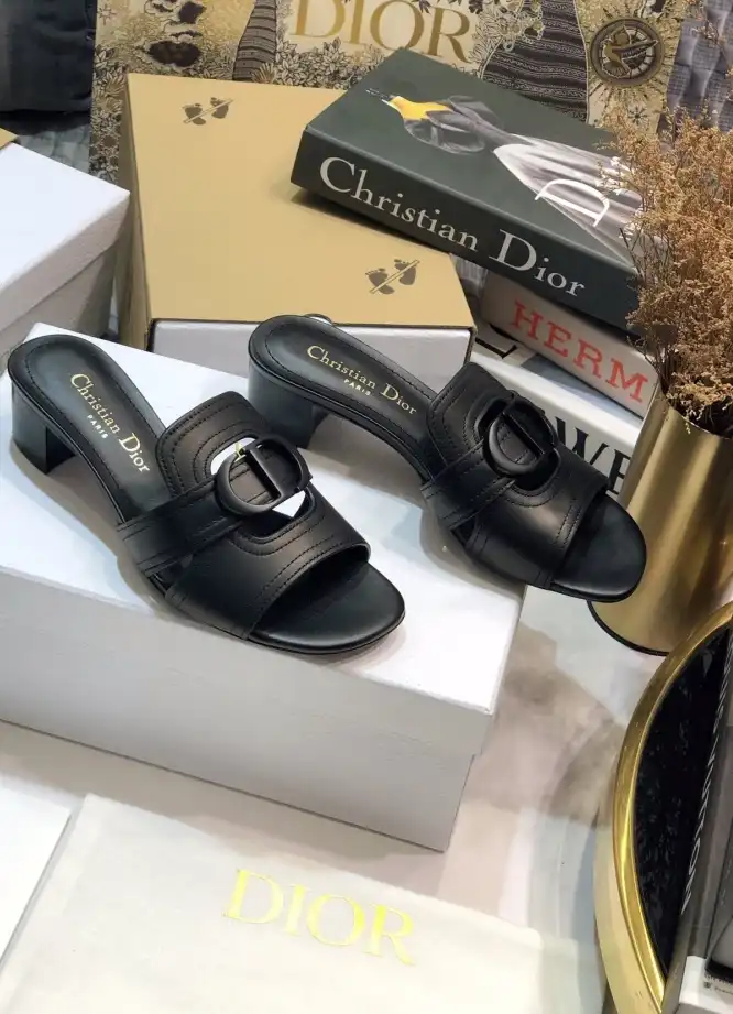 hype Christian Dior Slippers