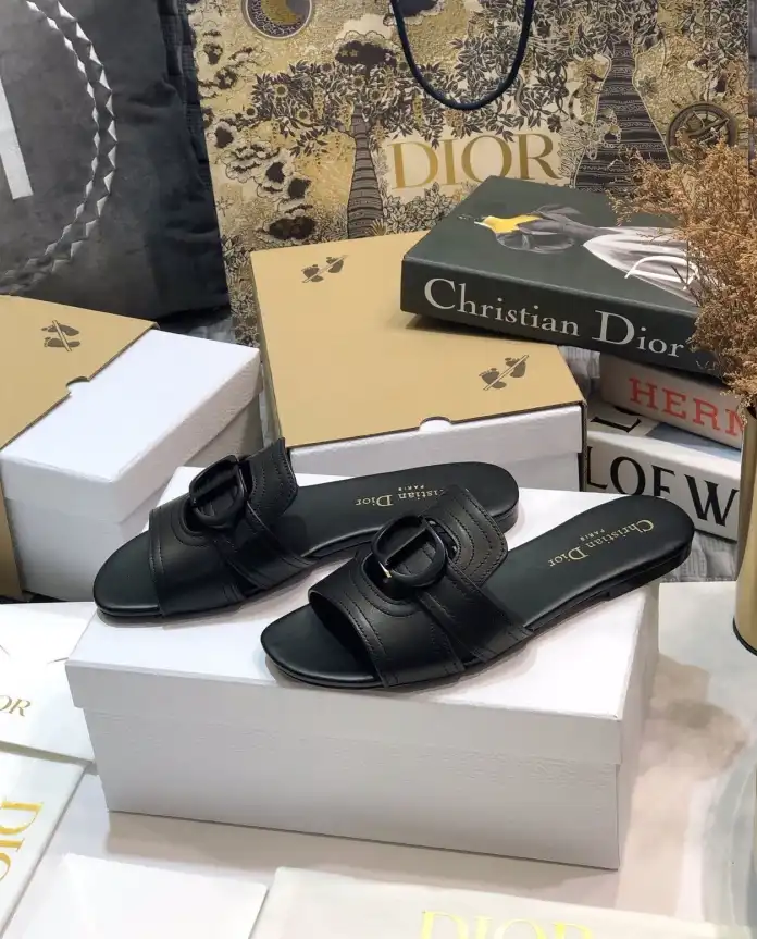 hype Christian Dior Slippers