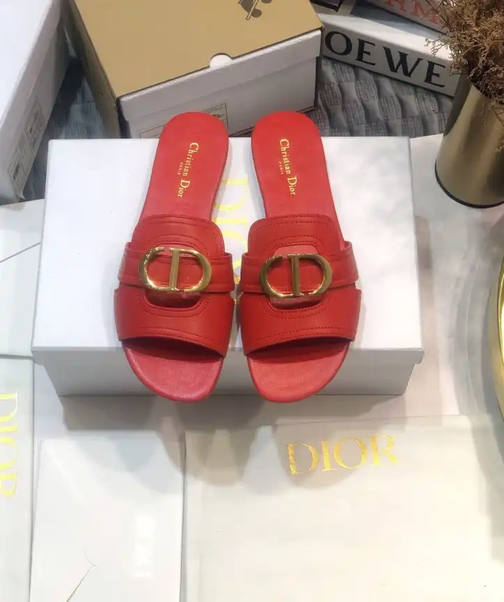 hype Christian Dior Slippers