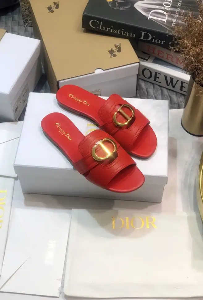 hype Christian Dior Slippers