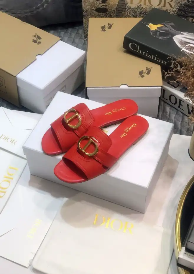 hype Christian Dior Slippers