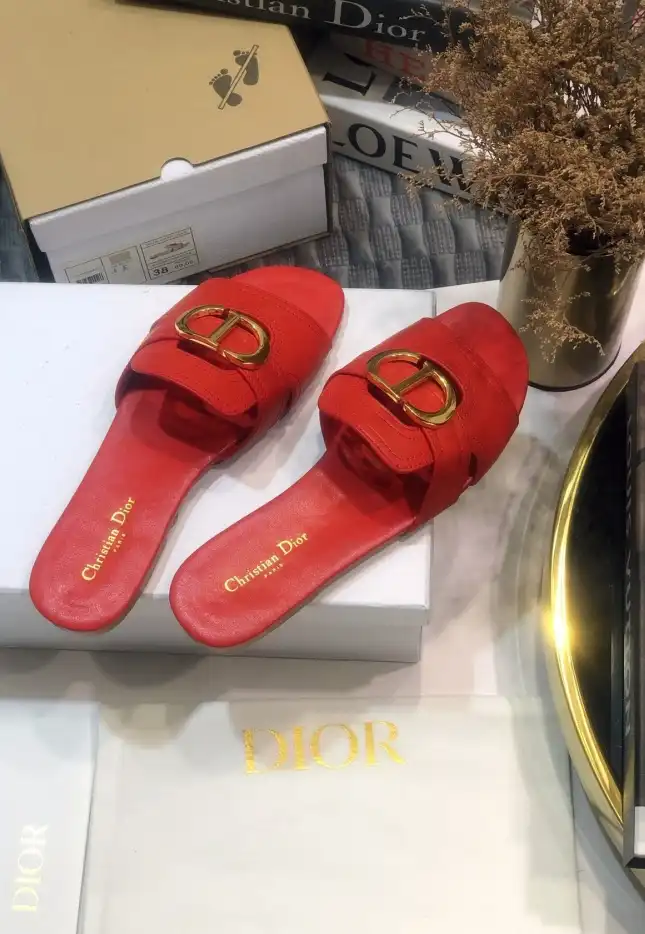 hype Christian Dior Slippers