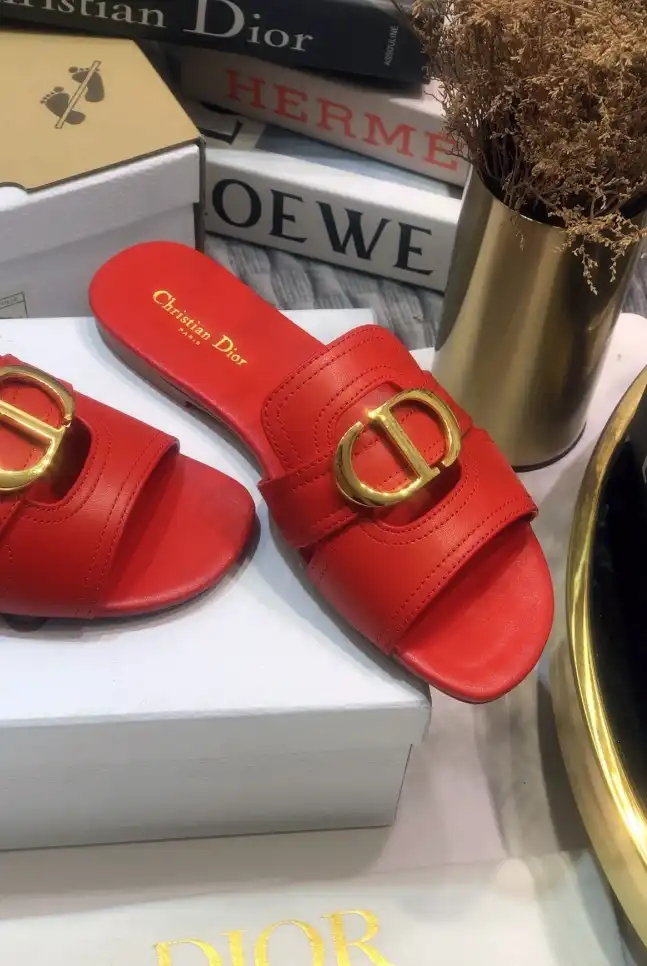 hype Christian Dior Slippers