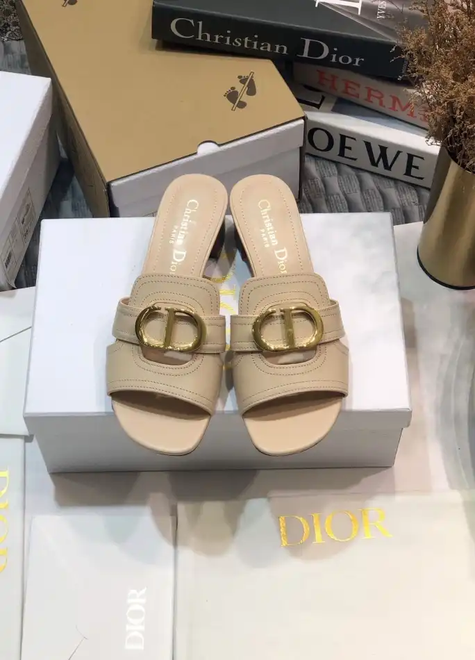 hype Christian Dior Slippers