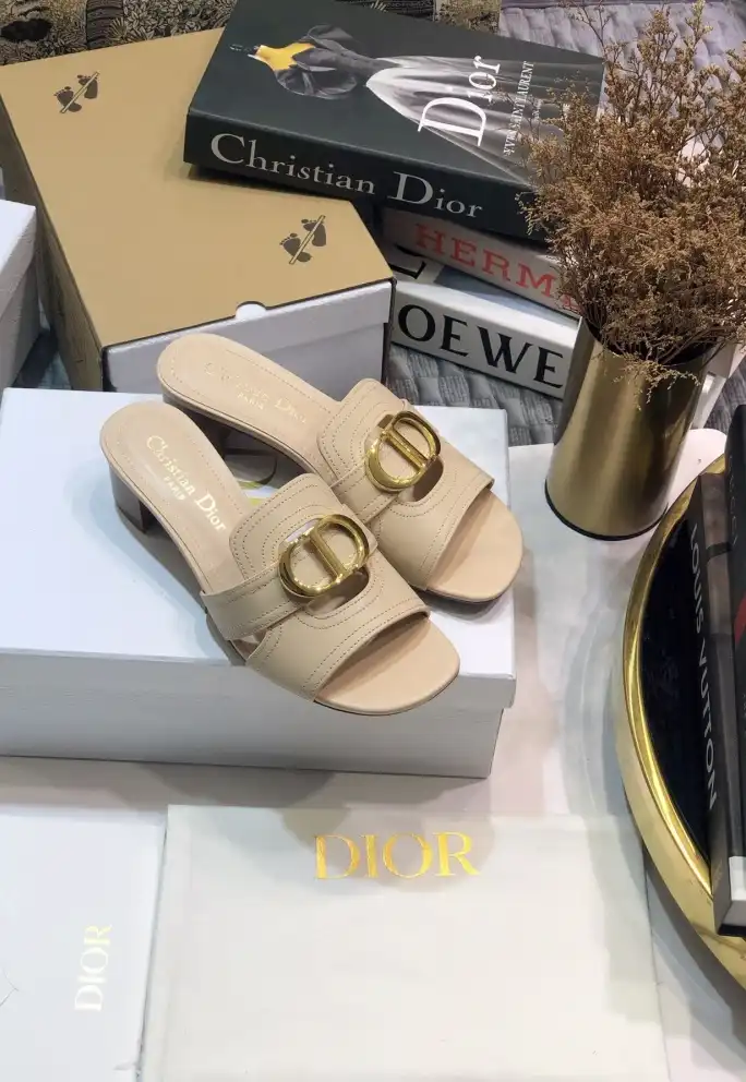 hype Christian Dior Slippers