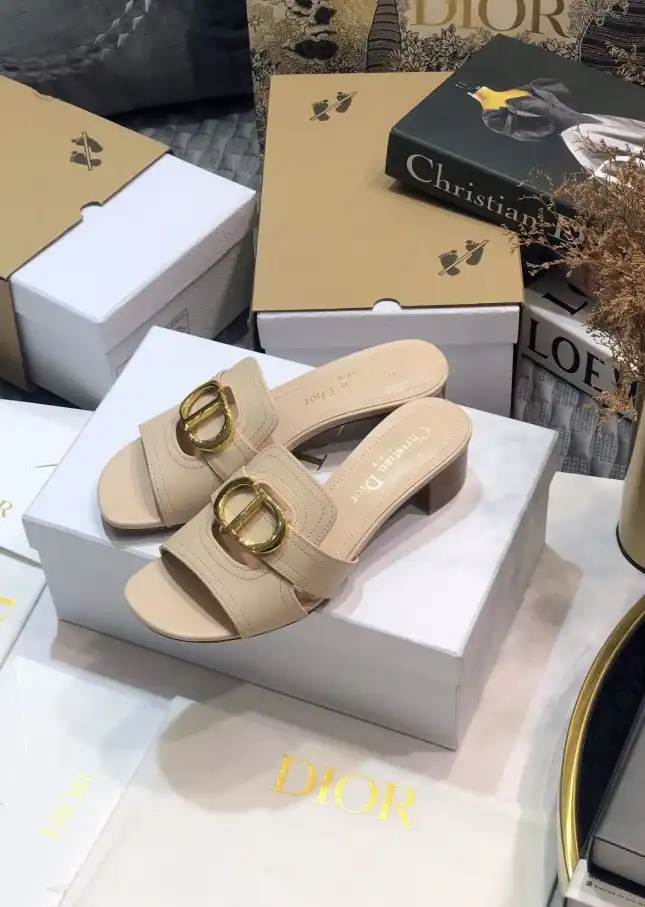 hype Christian Dior Slippers