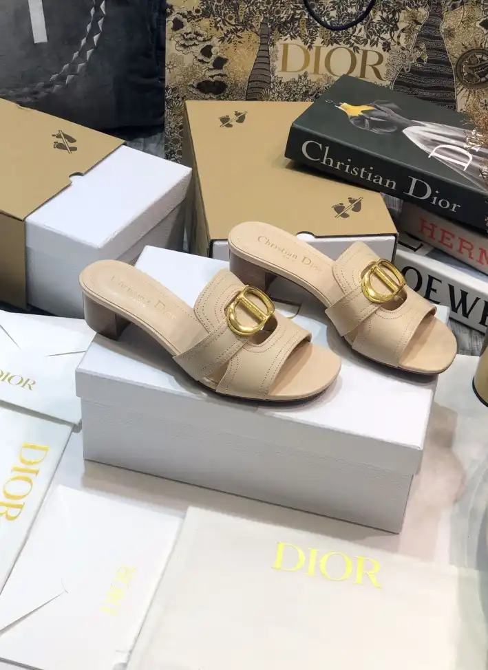 hype Christian Dior Slippers