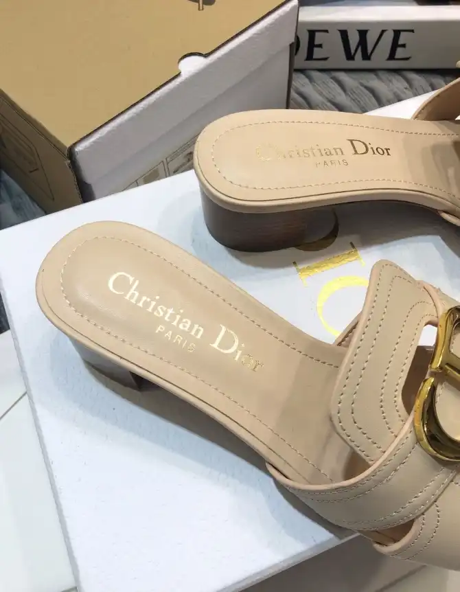 hype Christian Dior Slippers